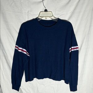 Hollister Blue and White Boxy Crop Sweatshirt